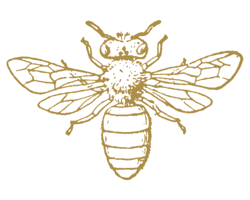 gardenista bee
